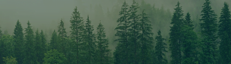 Easy ethical switches for your business